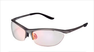 POLARIZED STYLE