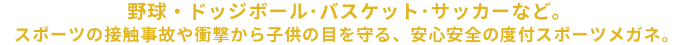 野球・ドッジボール・バスケットボール・サッカーなど、相手との接触や イレギュラーボールによる怪我から目を守る為に開発された「アイプロテクター」です。